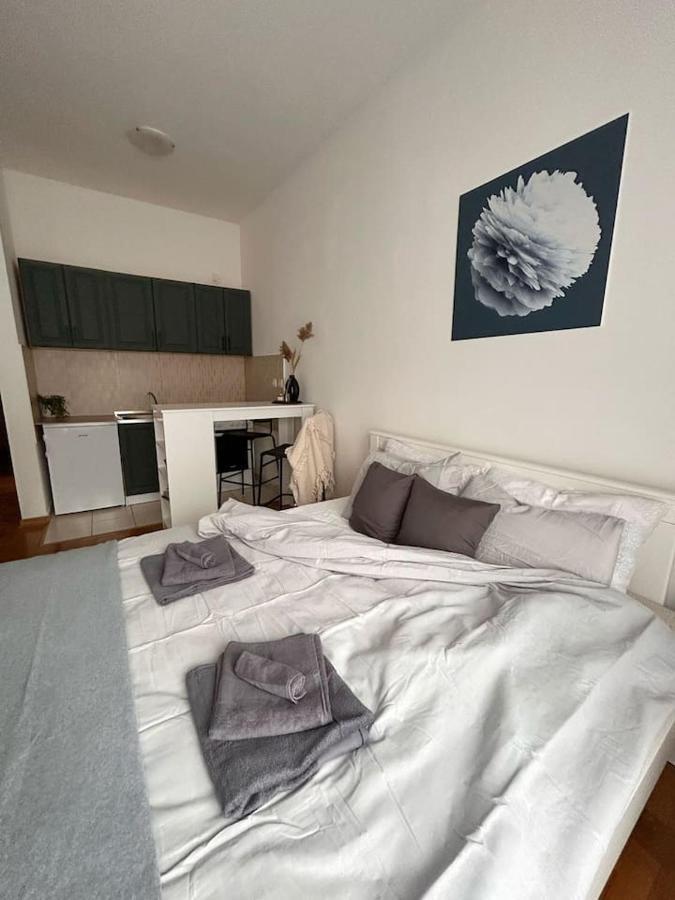 Appartamento S11 Novi Sad Esterno foto